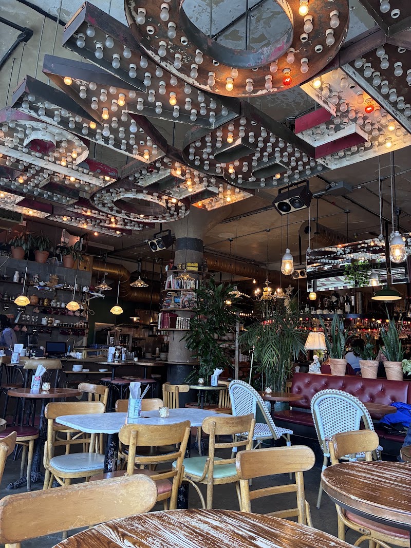 Le Bar Darling photo 4