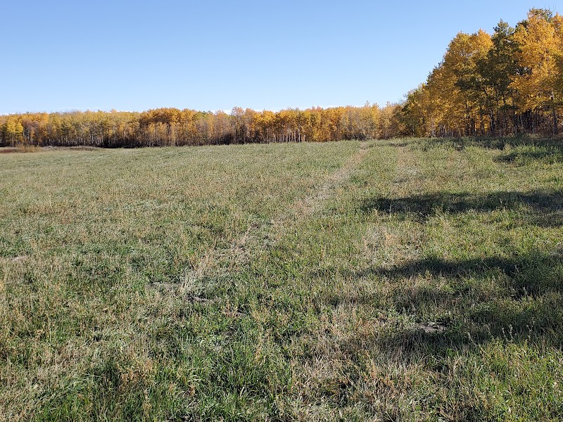 Northern Bear Golf Club photo 9