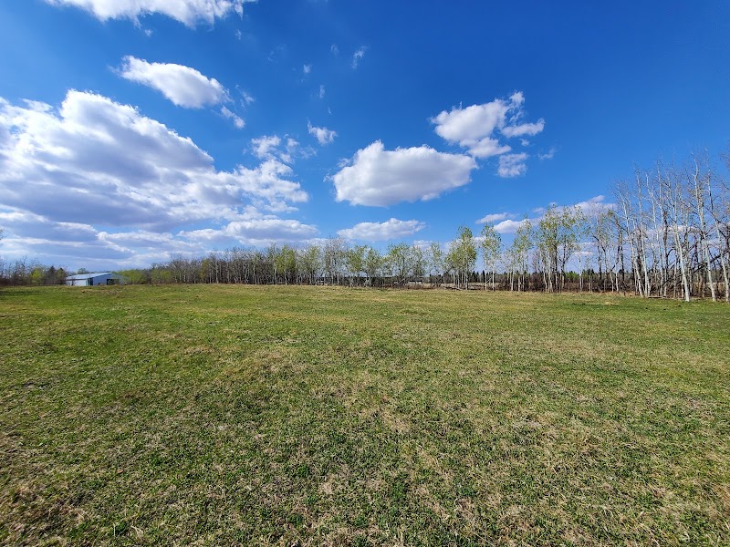 Northern Bear Golf Club photo 5