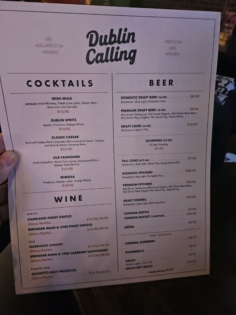 Dublin Calling Adelaide photo 8