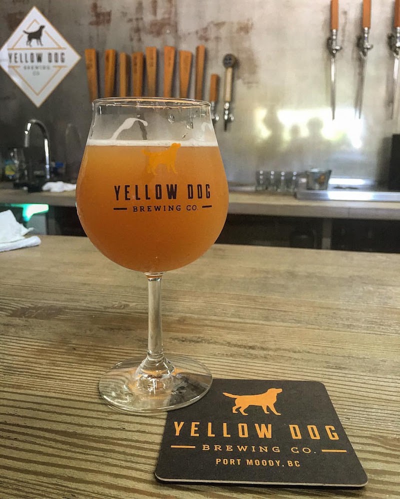 Yellow Dog Brewing Co. photo 3