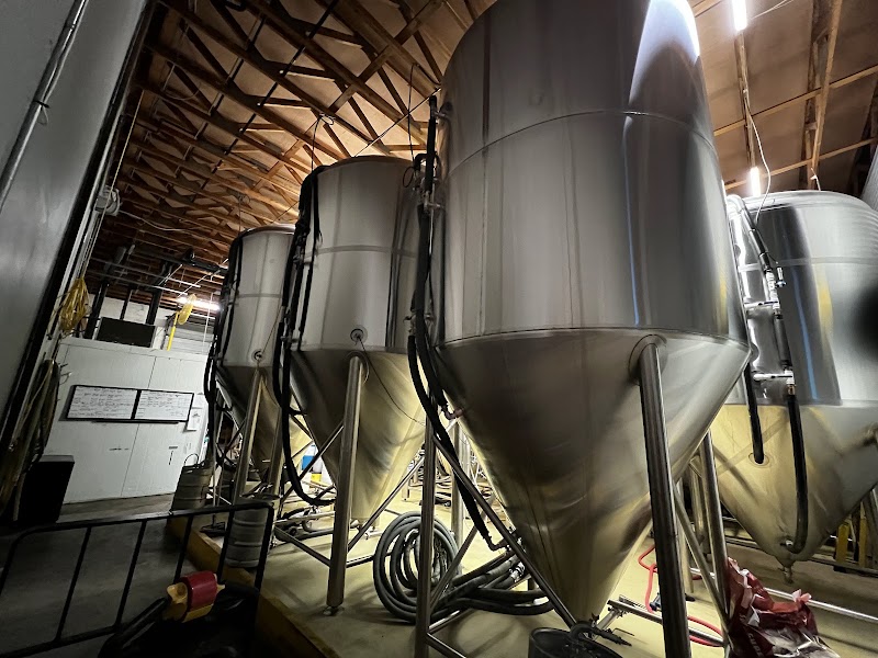 Yellow Dog Brewing Co. photo 8