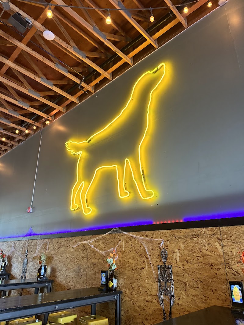 Yellow Dog Brewing Co. photo 10
