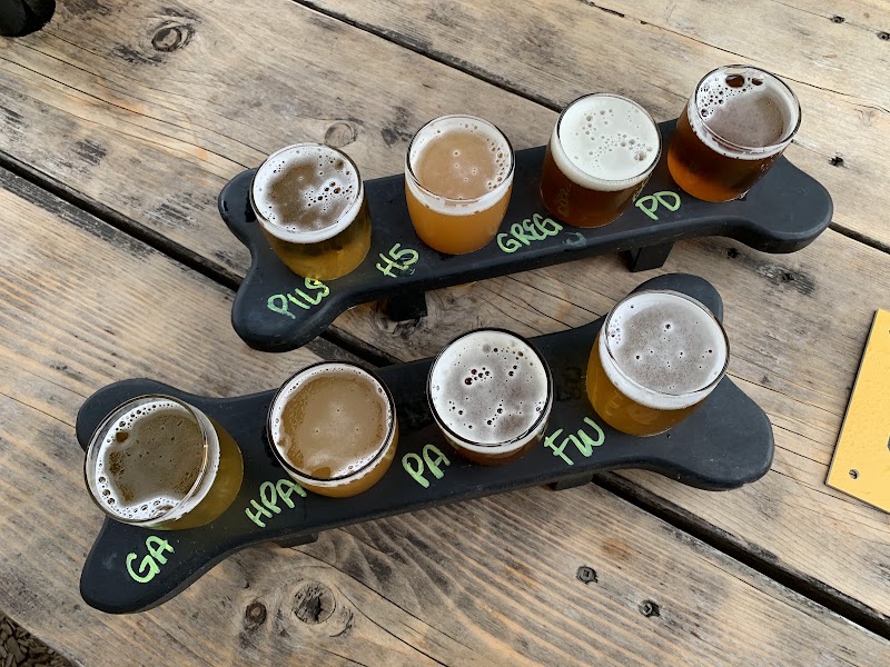 Yellow Dog Brewing Co. photo 5