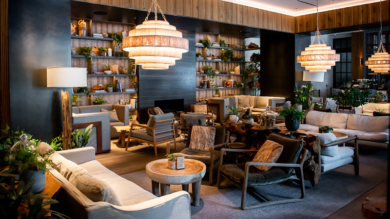 Flora Lounge photo 1