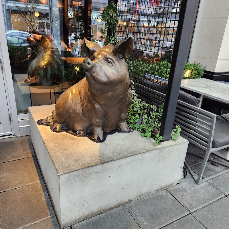 Earls Station Square photo 8