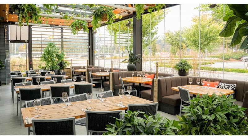Cactus Club