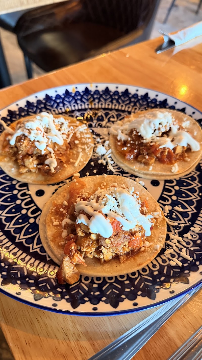 Tequila Coccina photo 3