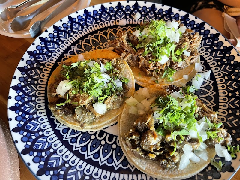 Tequila Coccina photo 4