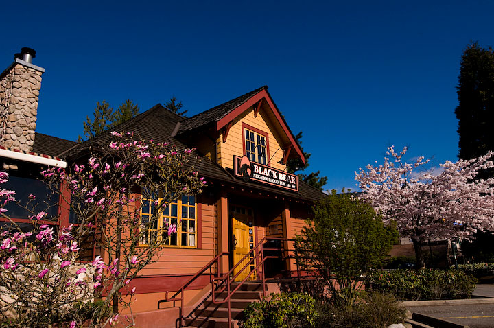 The Black Bear Pub photo 4