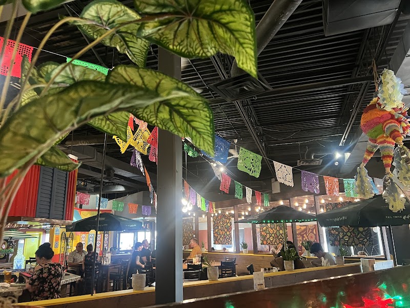 Agave Authentc Mexican Grill photo 5