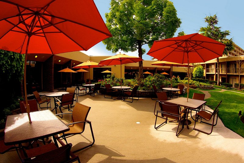 Harold’s Kitchen & Bar photo 8