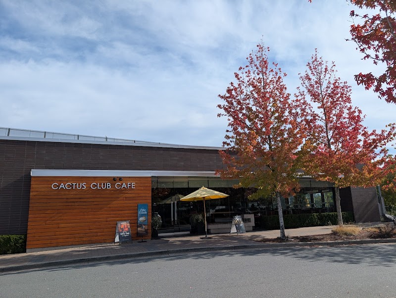 Cactus Club photo 8