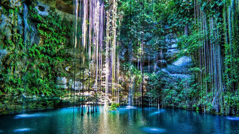 Cenote Restaurant photo 3