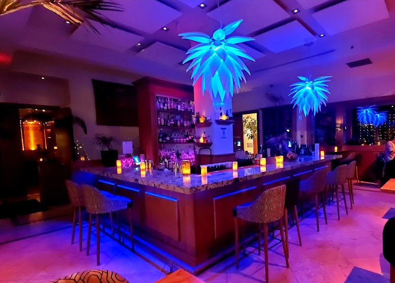 The Palms photo 4