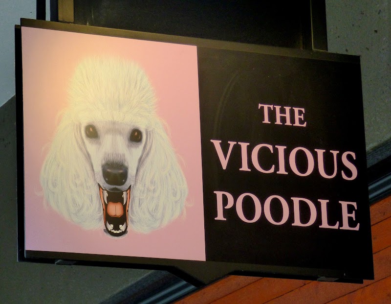 The Vicious Poodle photo 7