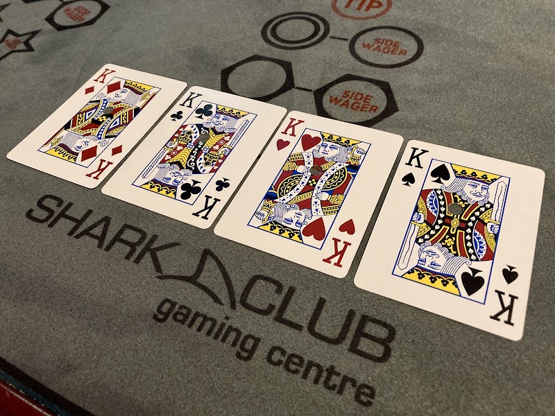 Shark Club photo 5