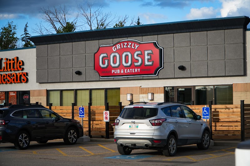 Grizzly Goose