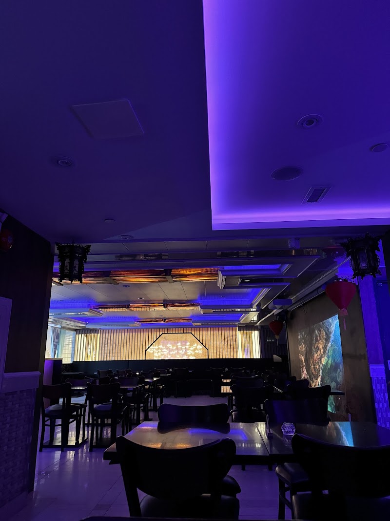 Bar Rose photo 8
